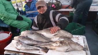 13 lb 8 oz Cod by juris mate(derby)