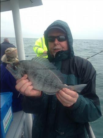 2 lb 6 oz Black Sea Bream by Alan