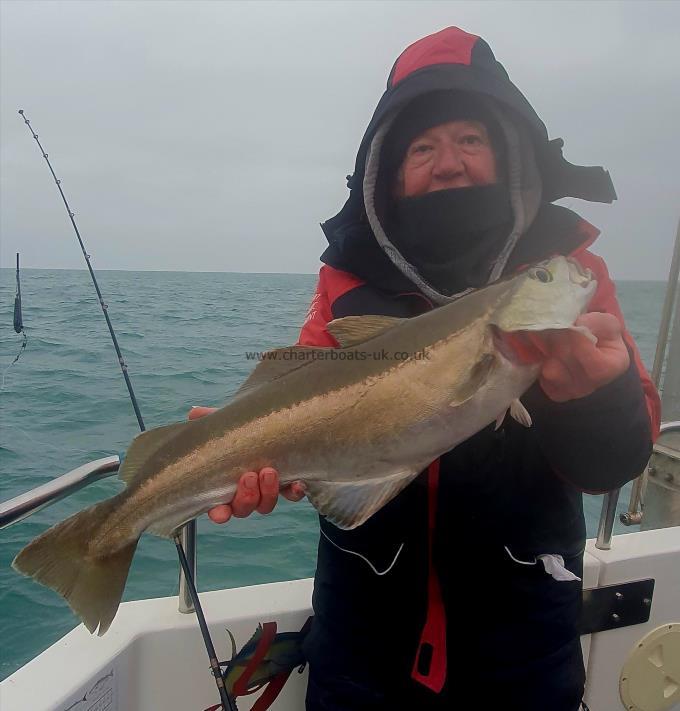 11 lb Pollock by Unknown