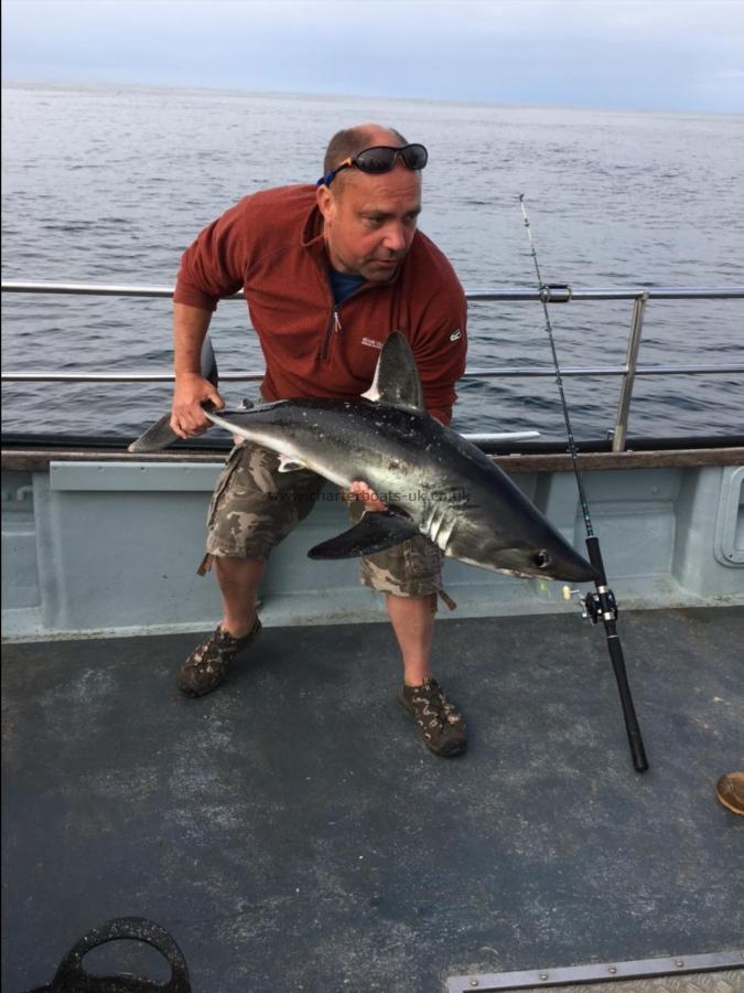 30 lb Porbeagle by Unknown