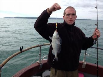 2 lb Black Sea Bream by Dan