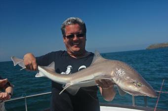 13 lb Starry Smooth-hound by Gareth