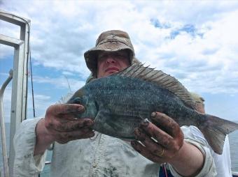 2 lb 7 oz Black Sea Bream by Happy John Not Grumpy Now