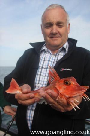 1 lb 8 oz Red Gurnard by John