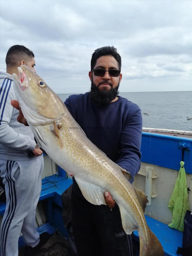 9 lb 8 oz Cod by Unknown