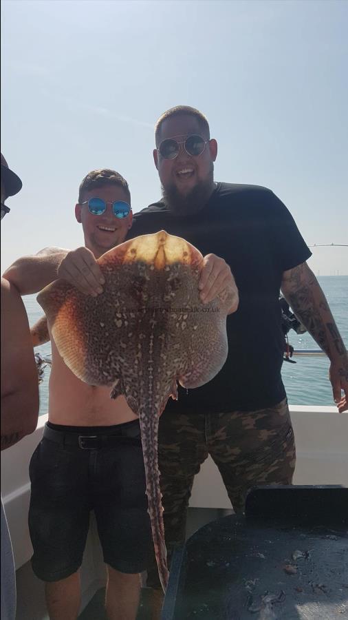 10 lb Undulate Ray by Rag n bone man