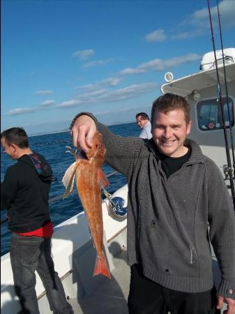 3 lb 1 oz Tub Gurnard by Paul Blake