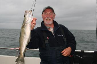 6 lb 4 oz Pollock by Saga of the Cosmo club