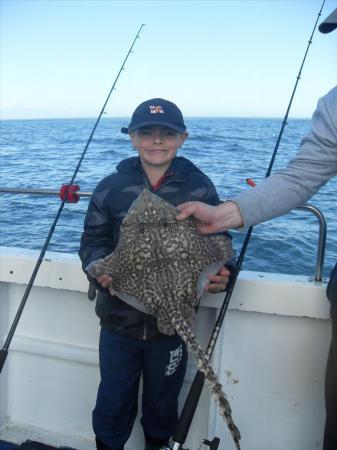 5 lb Thornback Ray by Unknown