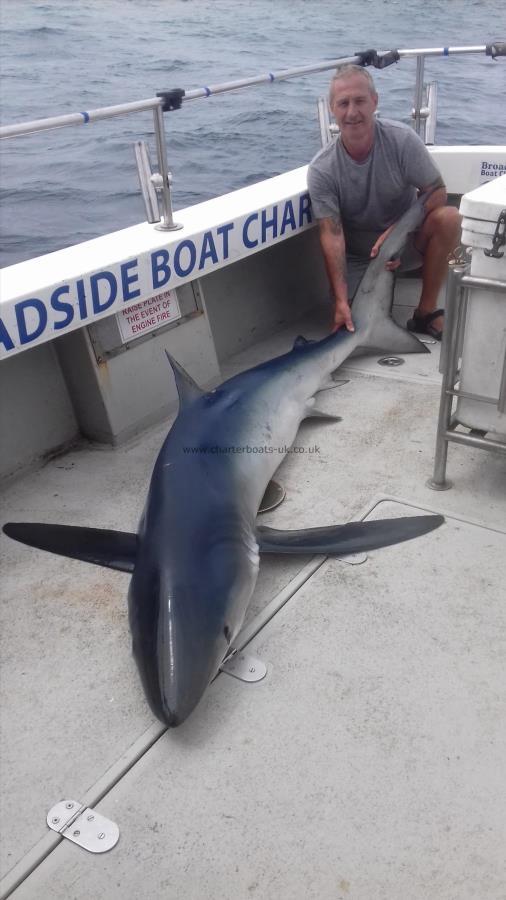 130 lb Blue Shark by Andy Truelove