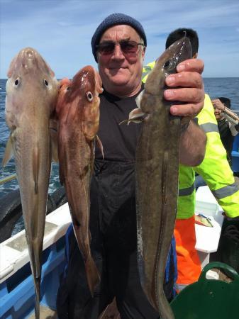 10 lb Ling by mogger from mansfield caught 15/6/2015