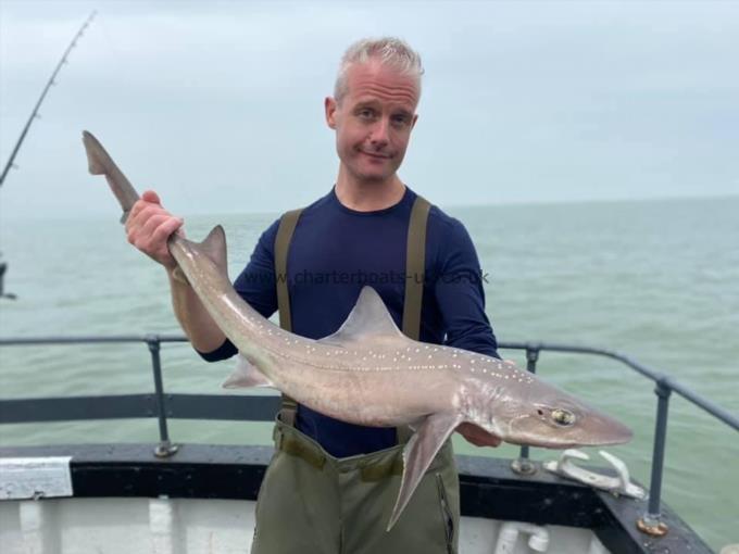 10 lb Smooth-hound (Common) by Unknown