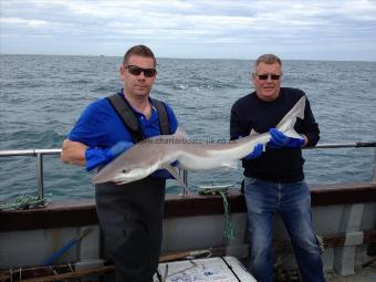 28 lb Tope by Colin, worried at the blunt end !