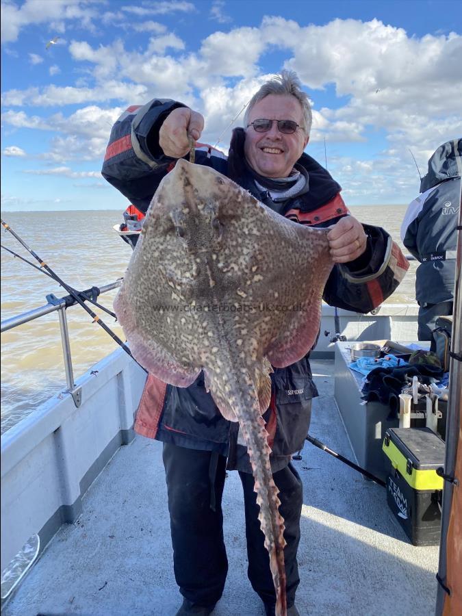 16 lb 8 oz Thornback Ray by Mike