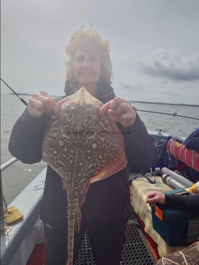 5 lb Thornback Ray by Heather