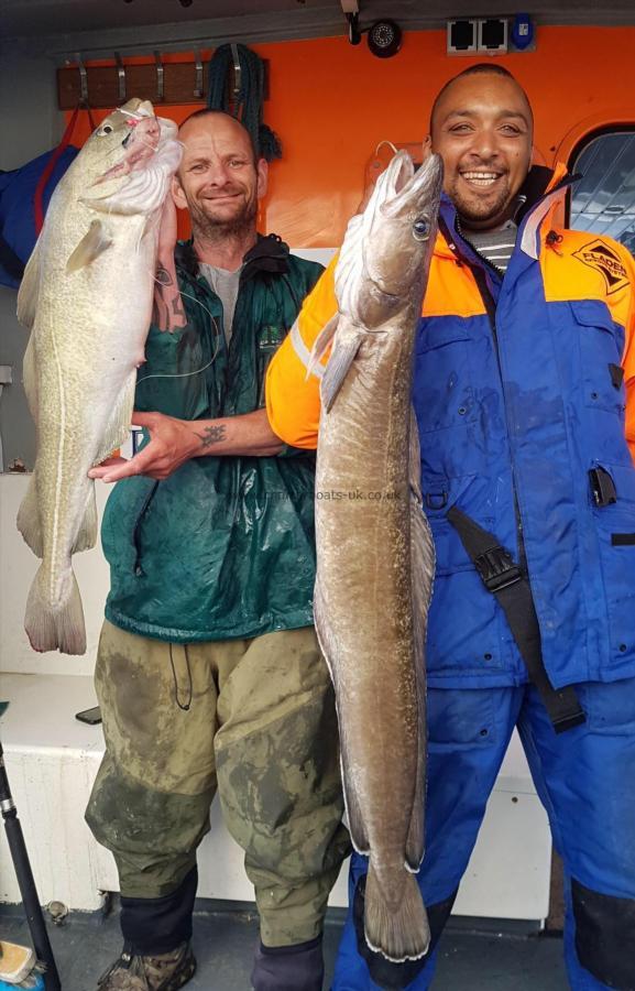 20 lb Ling by ant