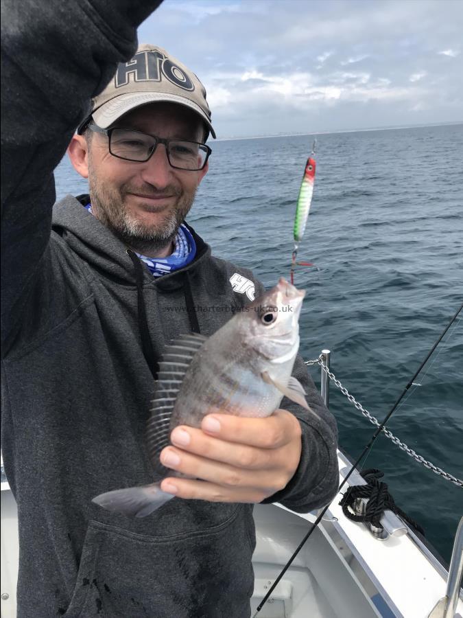 1 lb Black Sea Bream by Adam with his Lure caught Bream