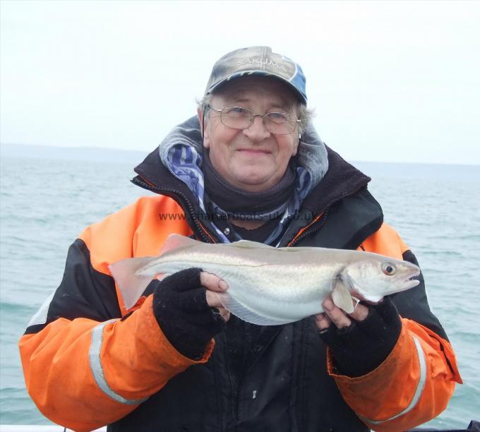 3 lb Whiting by Andy Collings