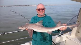 8 lb 8 oz Starry Smooth-hound by Bob Marshall