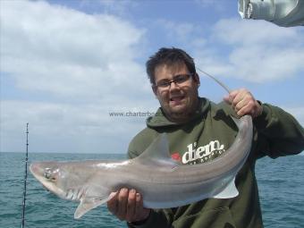 13 lb 8 oz Starry Smooth-hound by charlie