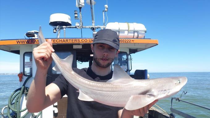 6 lb 5 oz Smooth-hound by Unknown
