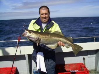 12 lb Pollock by Unknown