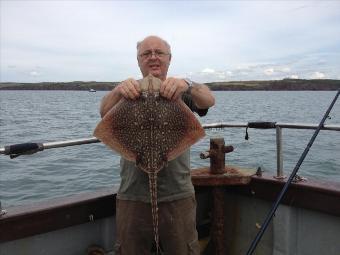 6 lb Thornback Ray by Phil Haverfordwest