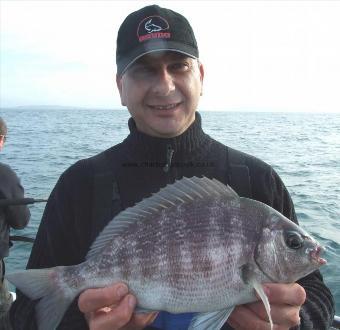 2 lb 12 oz Black Sea Bream by David Colclough