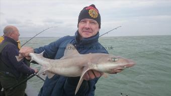 13 lb 1 oz Smooth-hound (Common) by Andy from London