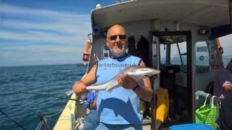 5 lb Smooth-hound (Common) by Stephen Wake
