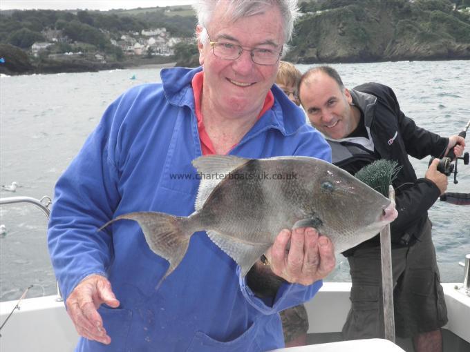 2 lb 9 oz Trigger Fish by Unknown