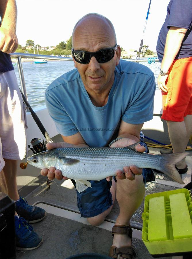 2 lb 14 oz Thin-Lipped Grey Mullet by Andy Michelle