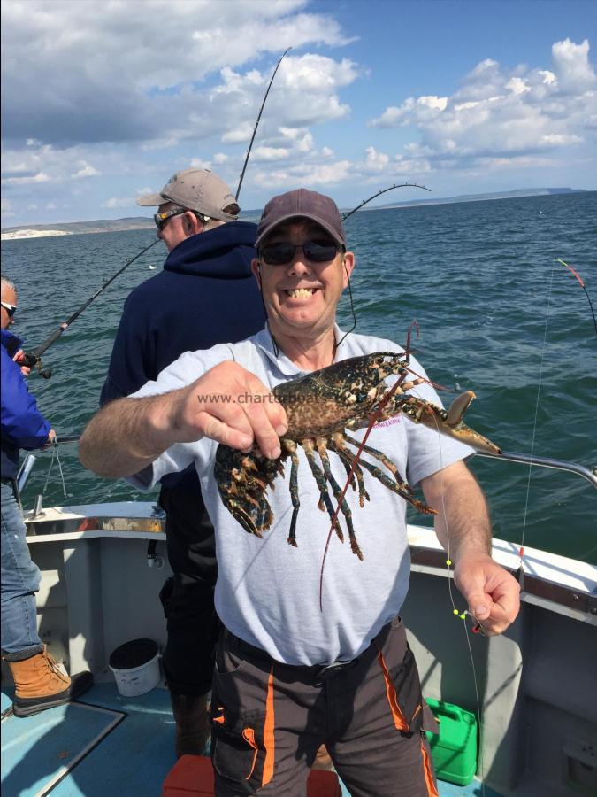 1 lb Lobster by Even noisier Shouty Steve