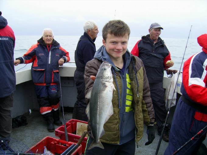 3 lb Coalfish (Coley/Saithe) by Mark