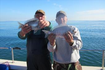 3 lb Black Sea Bream by Stephen Wake