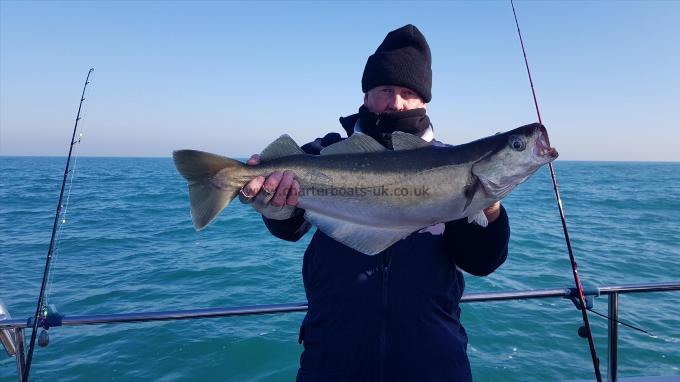 7 lb 2 oz Pollock by Barry