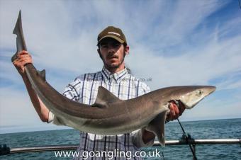 20 lb Tope by Carl