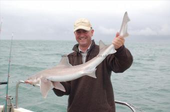 14 lb Starry Smooth-hound by andy sage