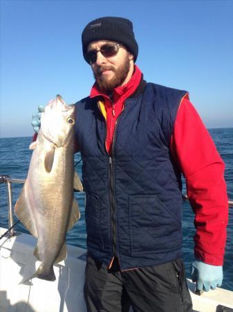 11 lb Pollock by Radu's mate