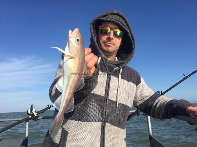 1 lb 8 oz Cod by Unknown