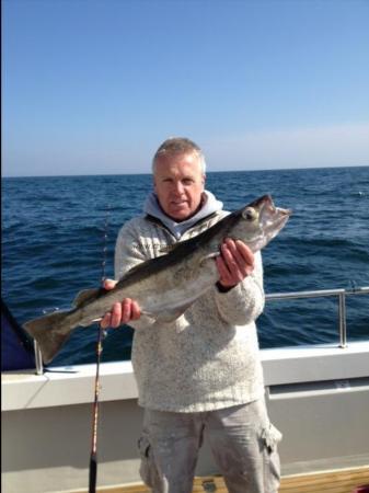 7 lb 8 oz Pollock by Graham