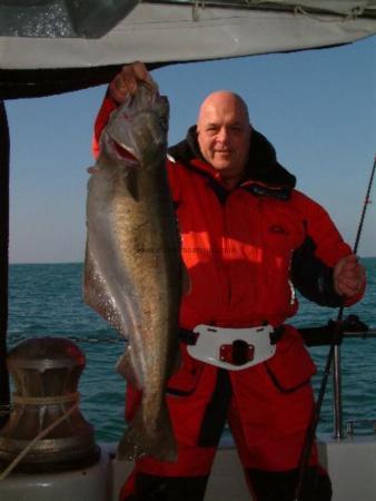 17 lb Pollock by Lenny