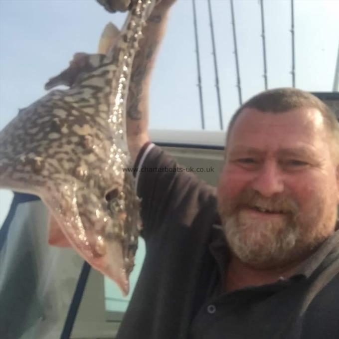 5 lb Thornback Ray by Unknown