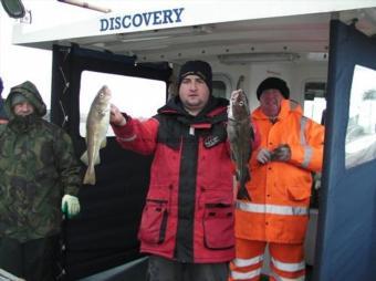 4 lb 6 oz Cod by Darren