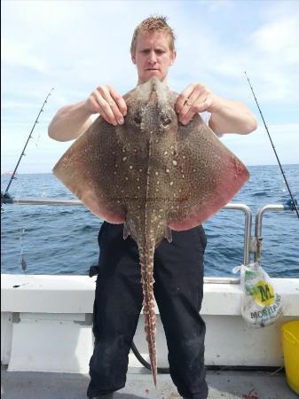 11 lb Thornback Ray by Iain Fay