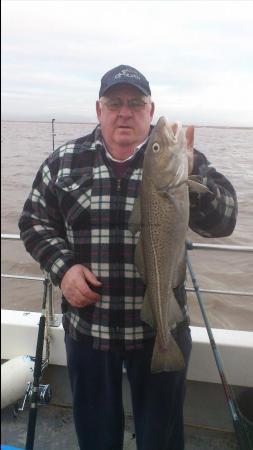 6 lb 8 oz Cod by john scanlon