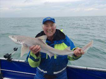 10 lb Smooth-hound (Common) by Ted