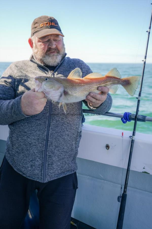 3 lb 2 oz Cod by Pete Ansell