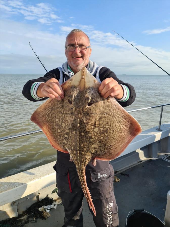 10 lb 3 oz Thornback Ray by Ray