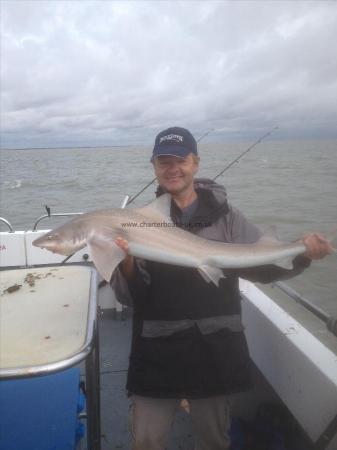 15 lb 1 oz Starry Smooth-hound by billy boy